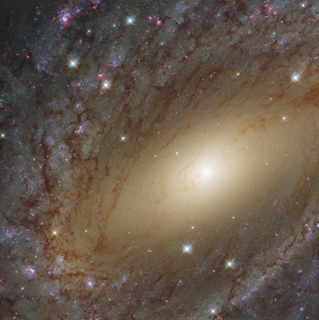 The Milky Way’s big sister