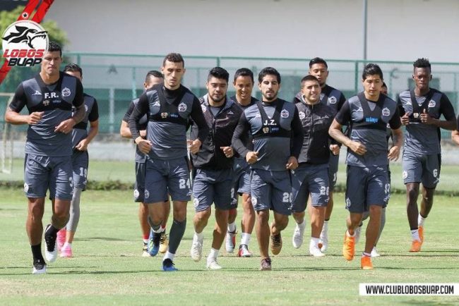 Lobos BUAP