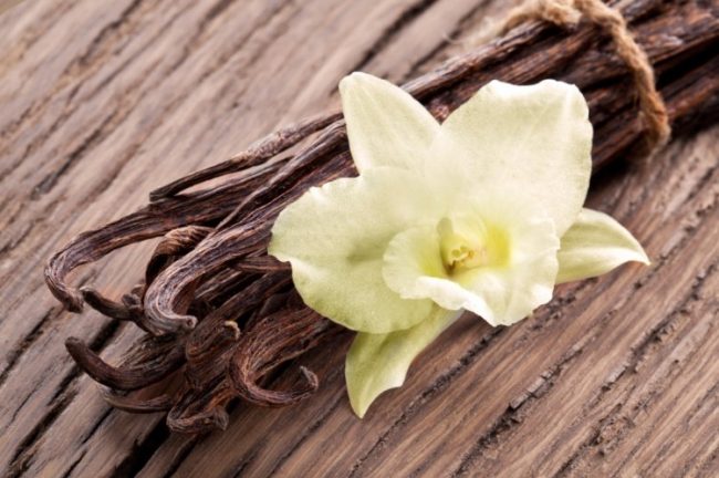 orquídeas