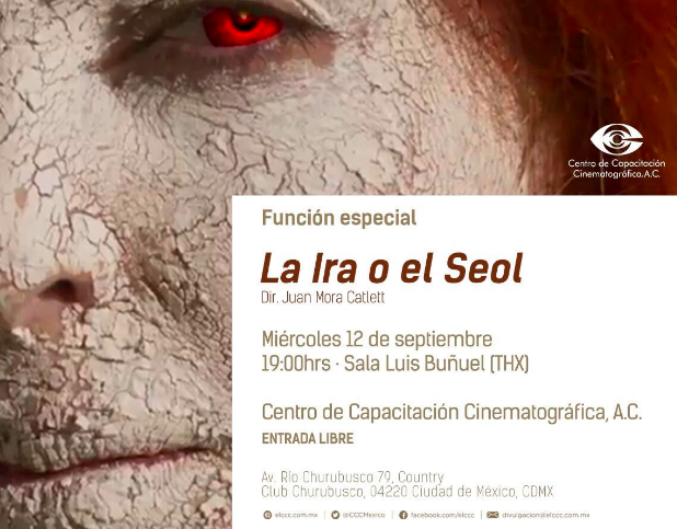 Captura de pantalla 2018-09-13 a la(s) 12.33.20 p.m.