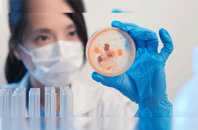 China-investigación-científica