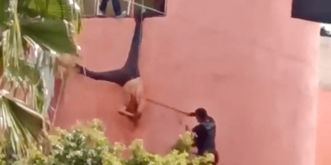 pinata-jalisco-ladron-policias-video-cantan