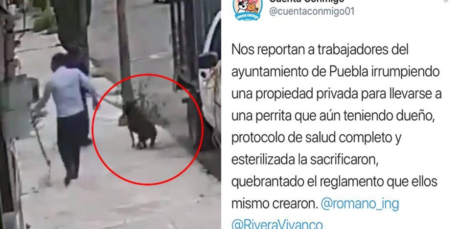 a467da41521f7943c39d4dfb3e32bd04_L
