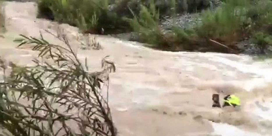 perrito-protecion-civil-santa-catarina-nuevo-leon-rescatan-rio-2-05092019-1024×467