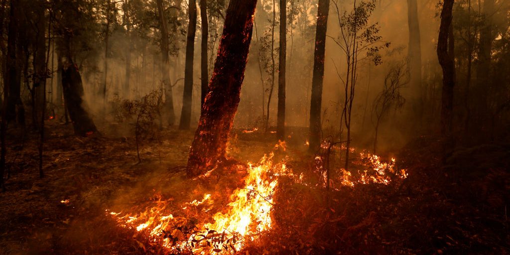 Bushfires Continue To Burn Across East Gippsland As Army Is Called In To Assist