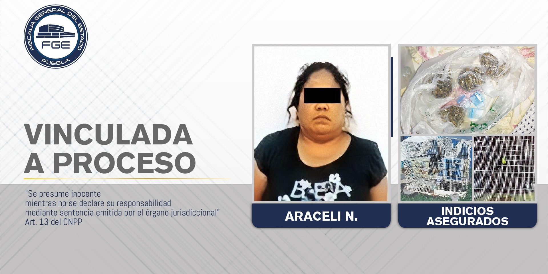 VaP -Araceli N-01