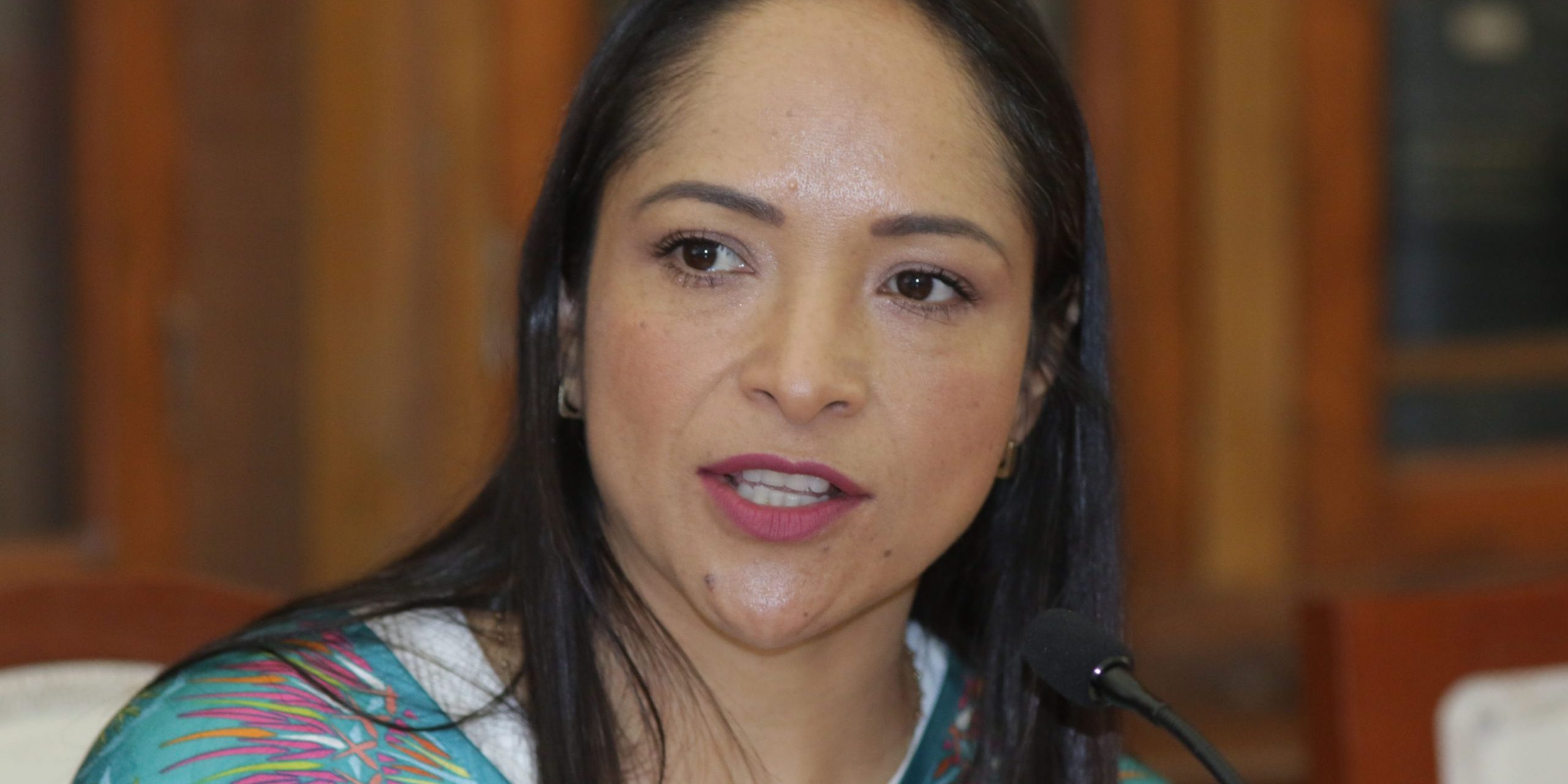 Comisión de Bienestar.