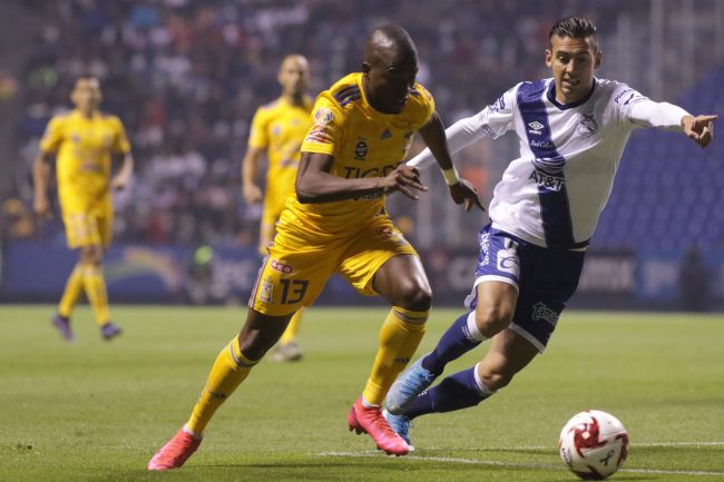 200306JMtigres07