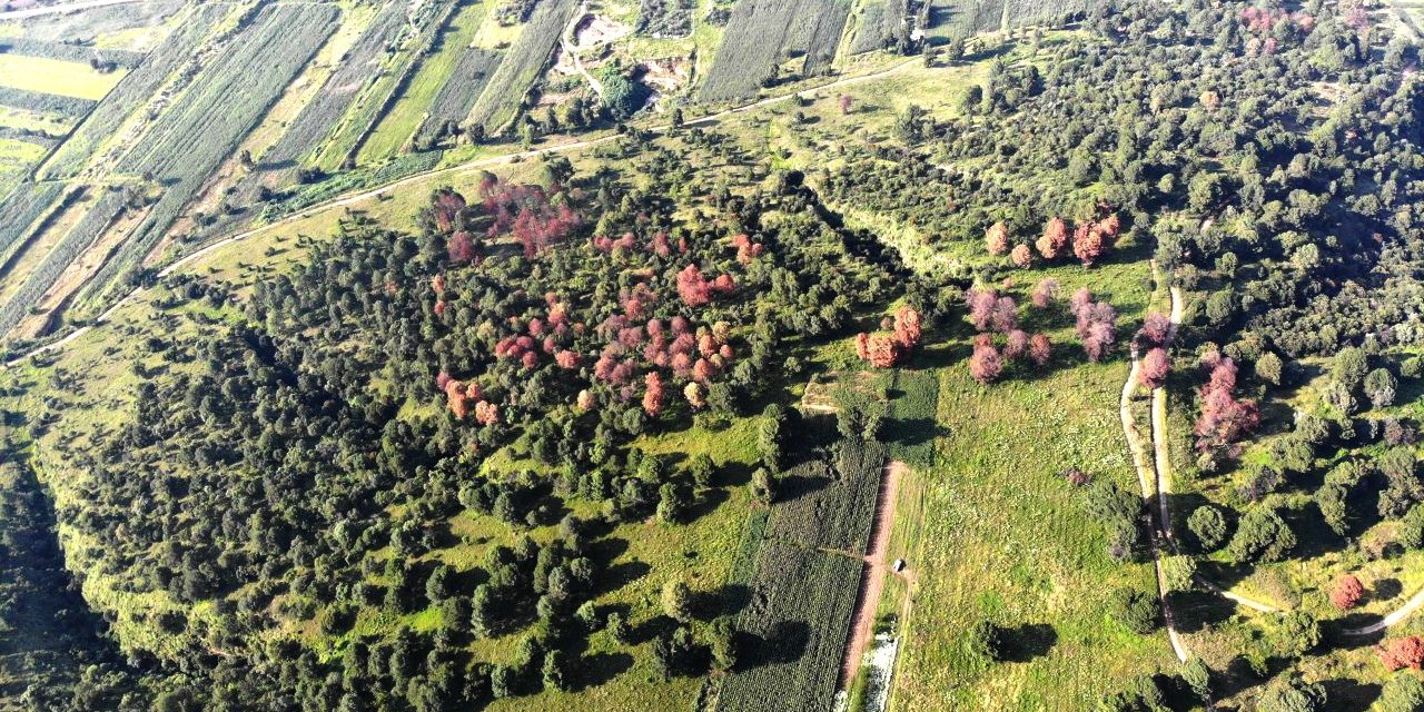 3 Inician trabajos de rescate y conservación en el Cerro Zapotecas, intervienen los tres órdenes de gobierno y VW