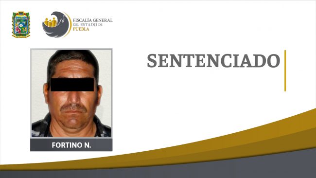 Fortino N_ST_–09