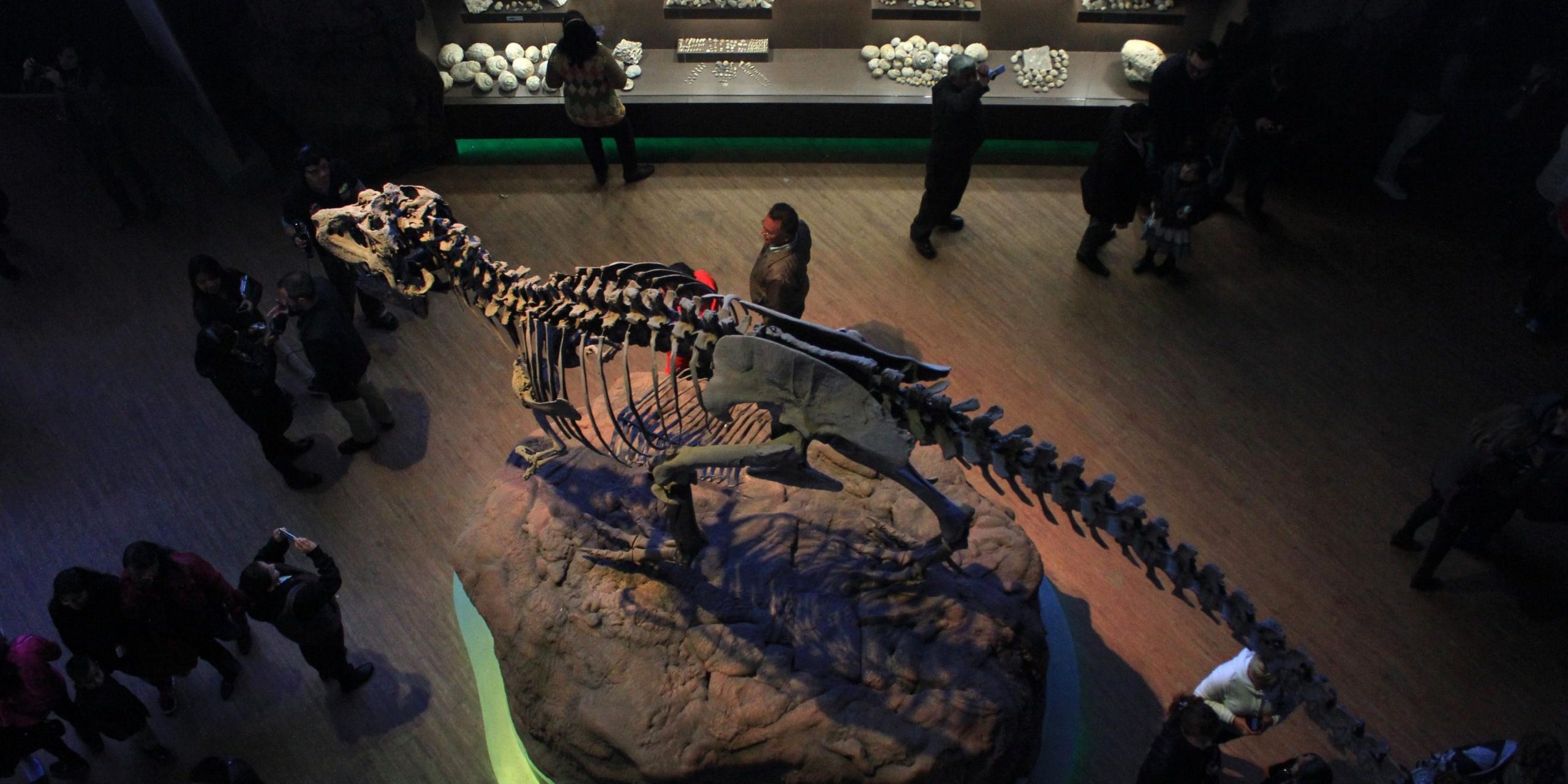 Museo de la Evolución Tehuacán.