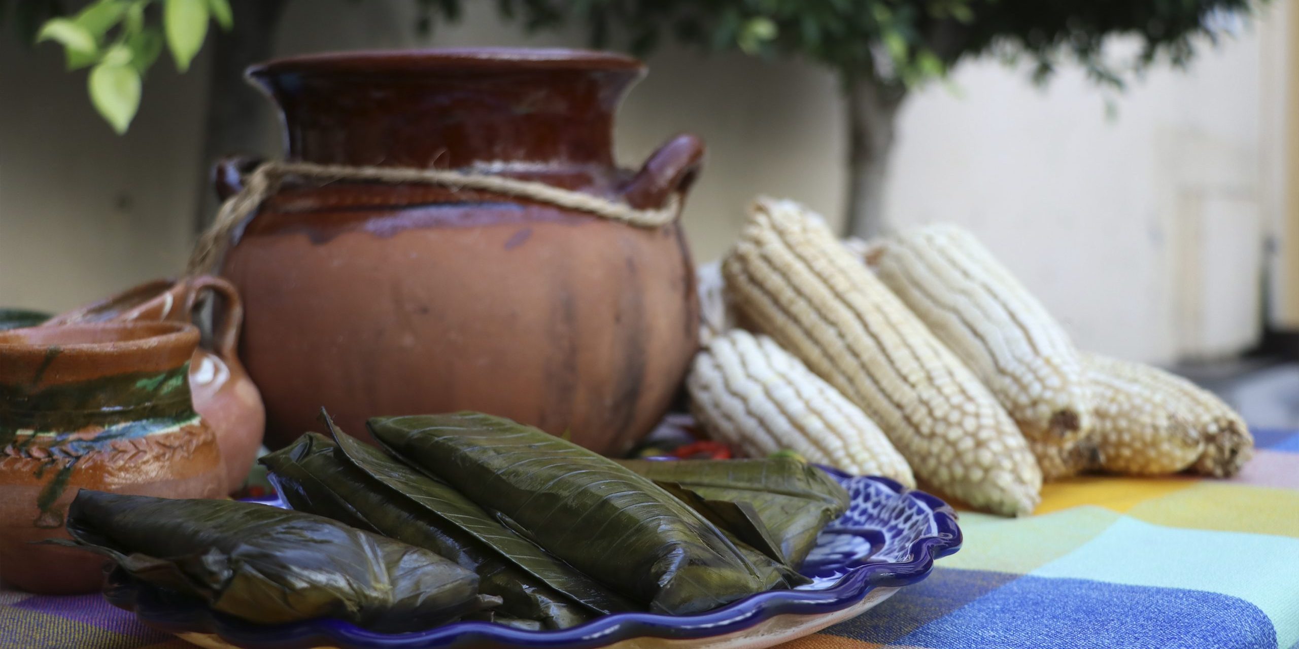 Tamal3