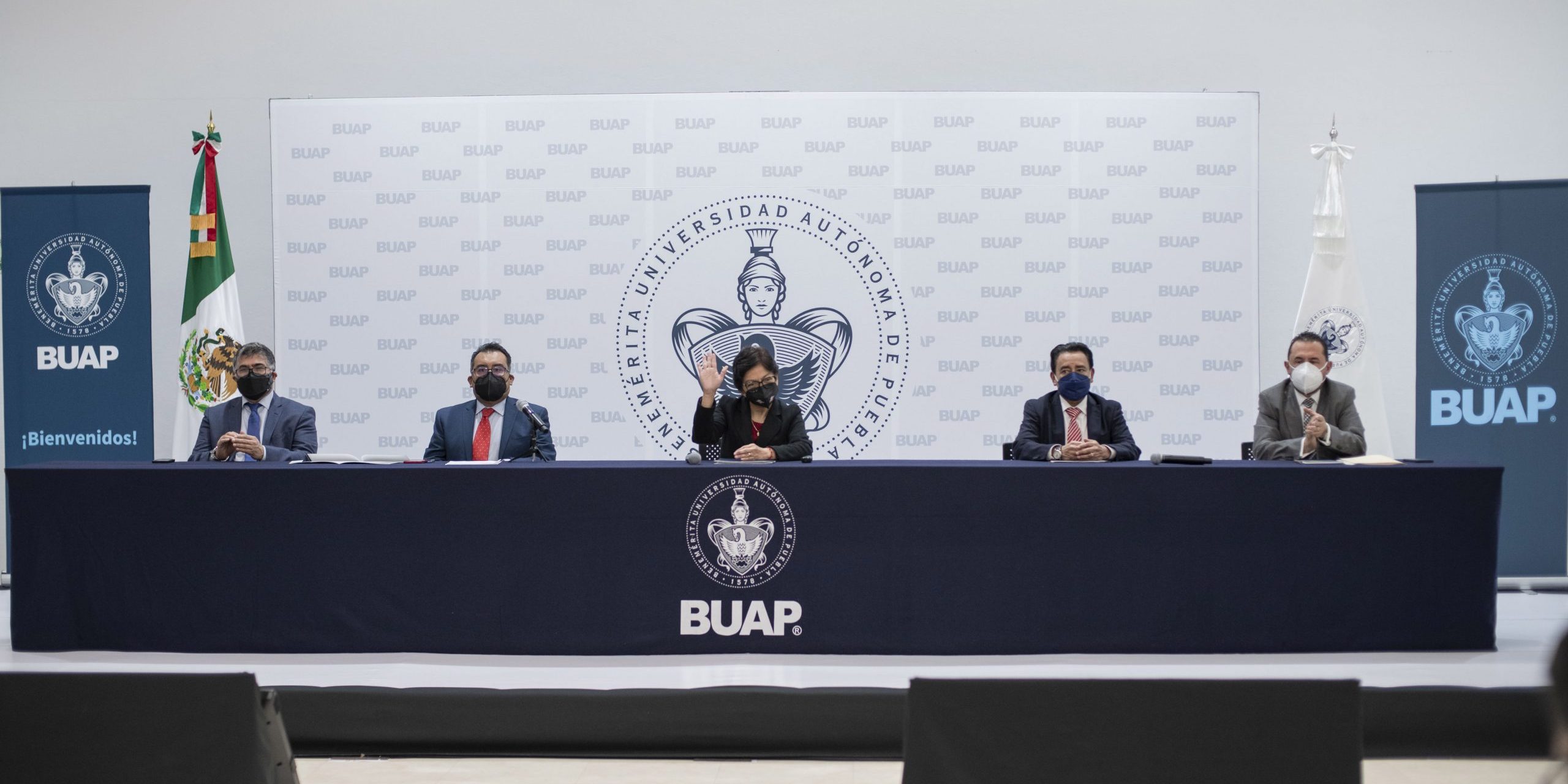 B Consulta