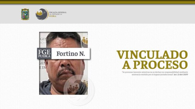 Fortino N.
