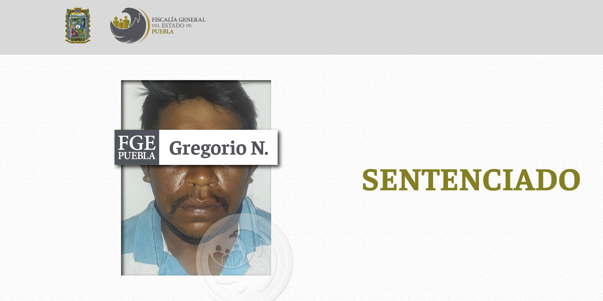 Gregorio N_ST-12