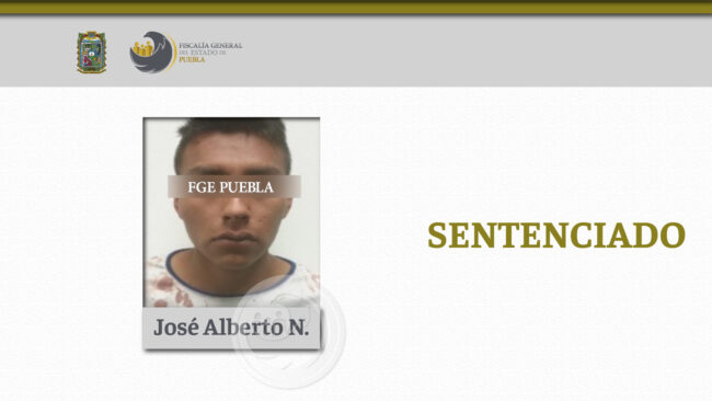 José Alberto N