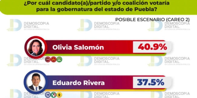 OliviaS-EncuestasDemoscopia