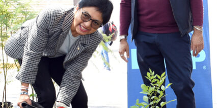 A_Reforestacion_6