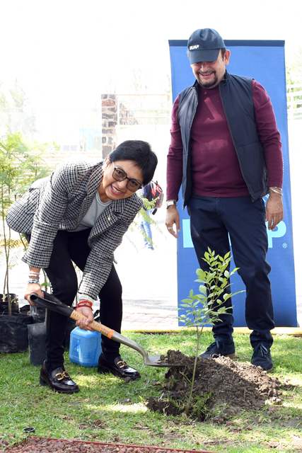 A_Reforestacion_6