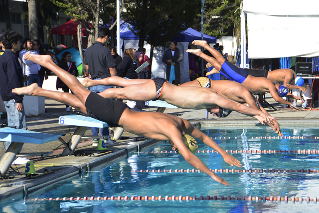A_Natacion_3