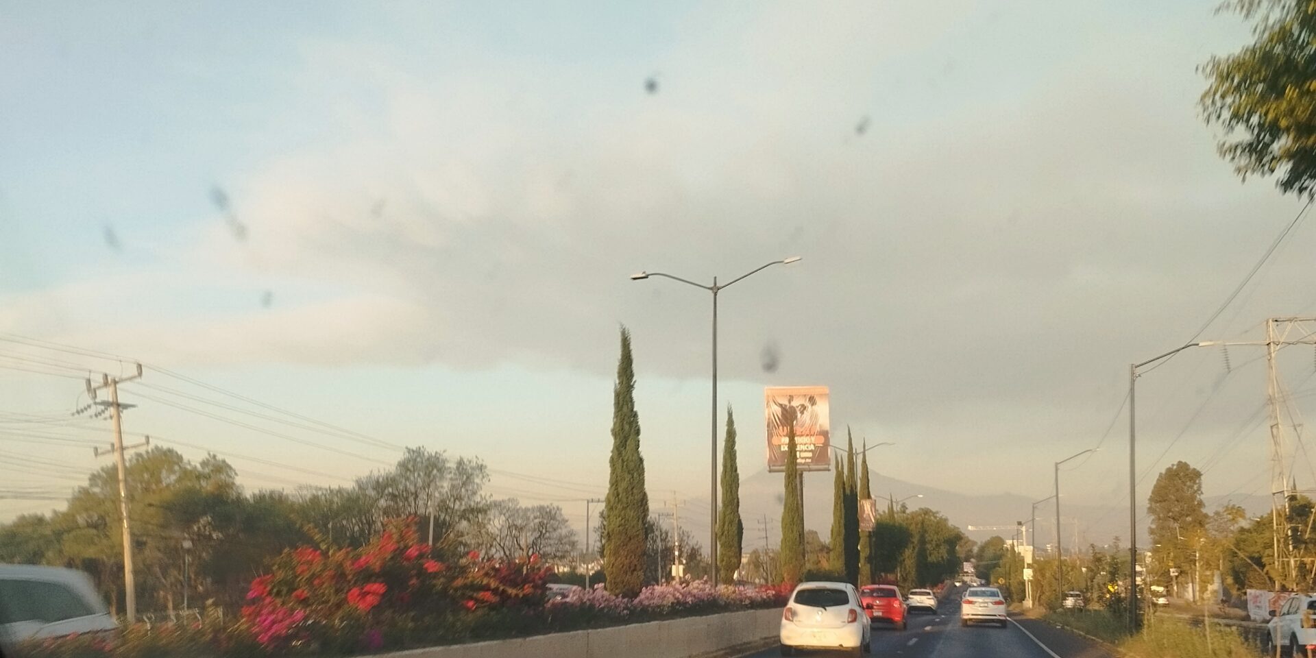 1000181164