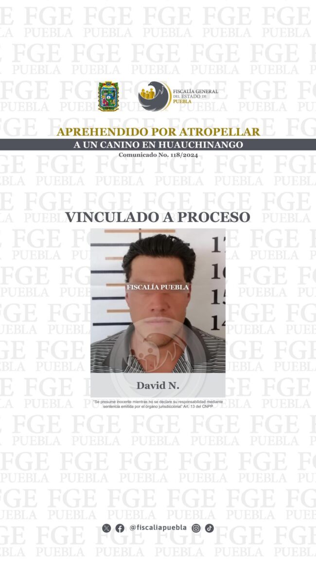118_VaP_David N_02