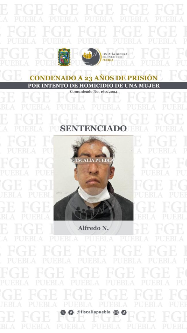 160_Sent_Alfredo N_02