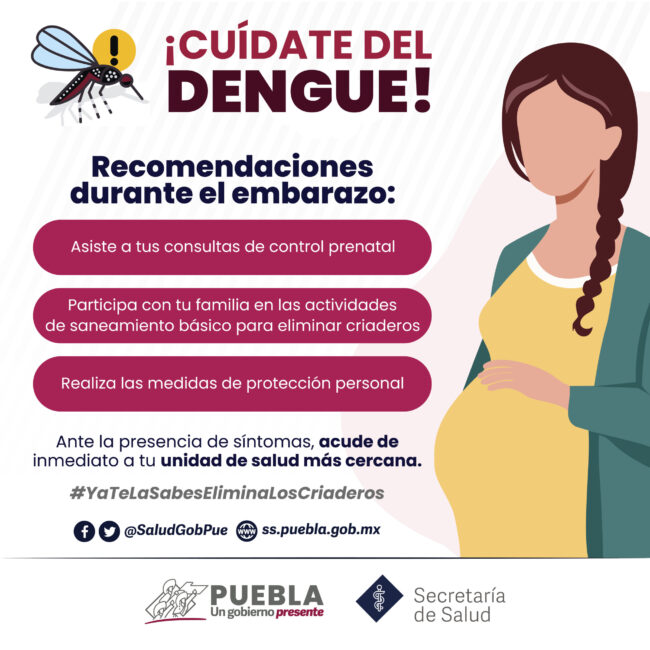 dengue recomendaciones embarazo-01-1 (1)