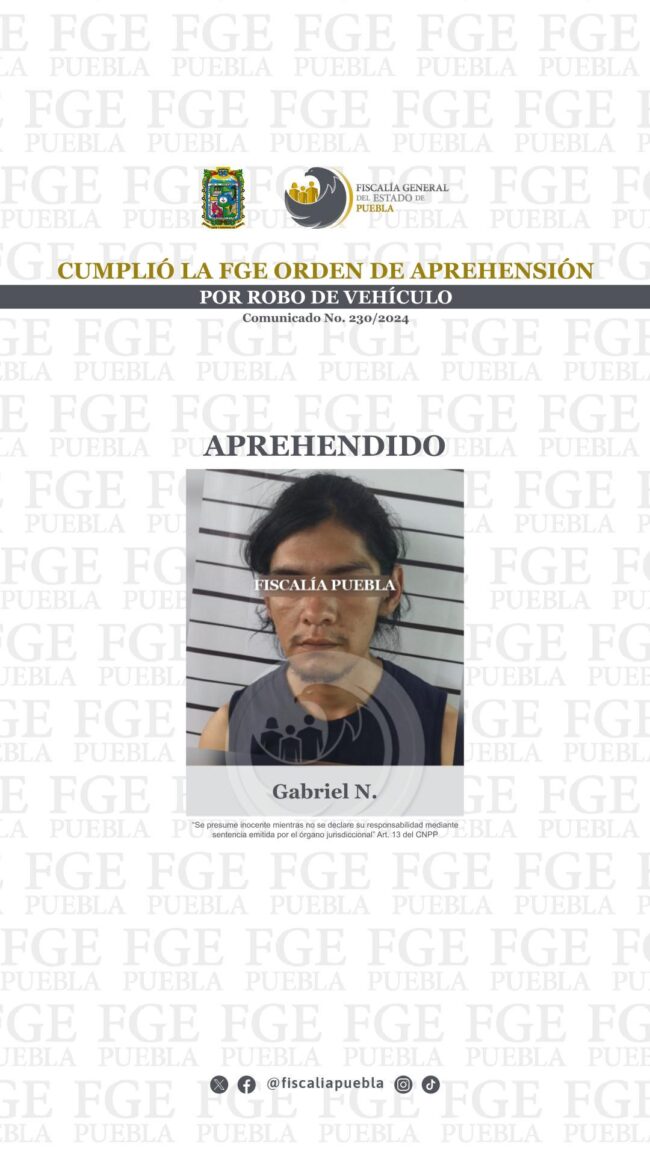 230_AP_Gabriel N_02
