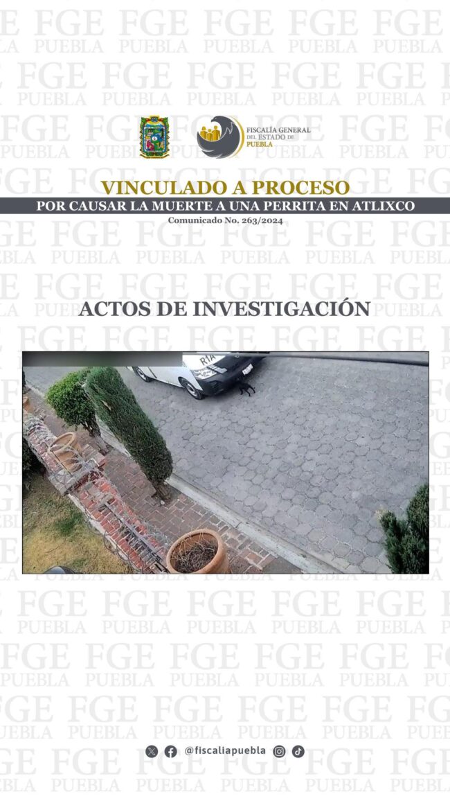 263_VaP_Juan Manuel N_02