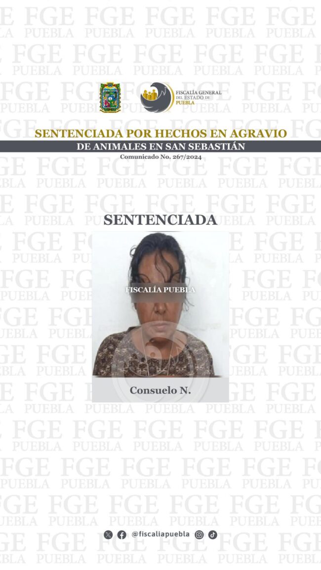 267_Sent_Consuelo N_02