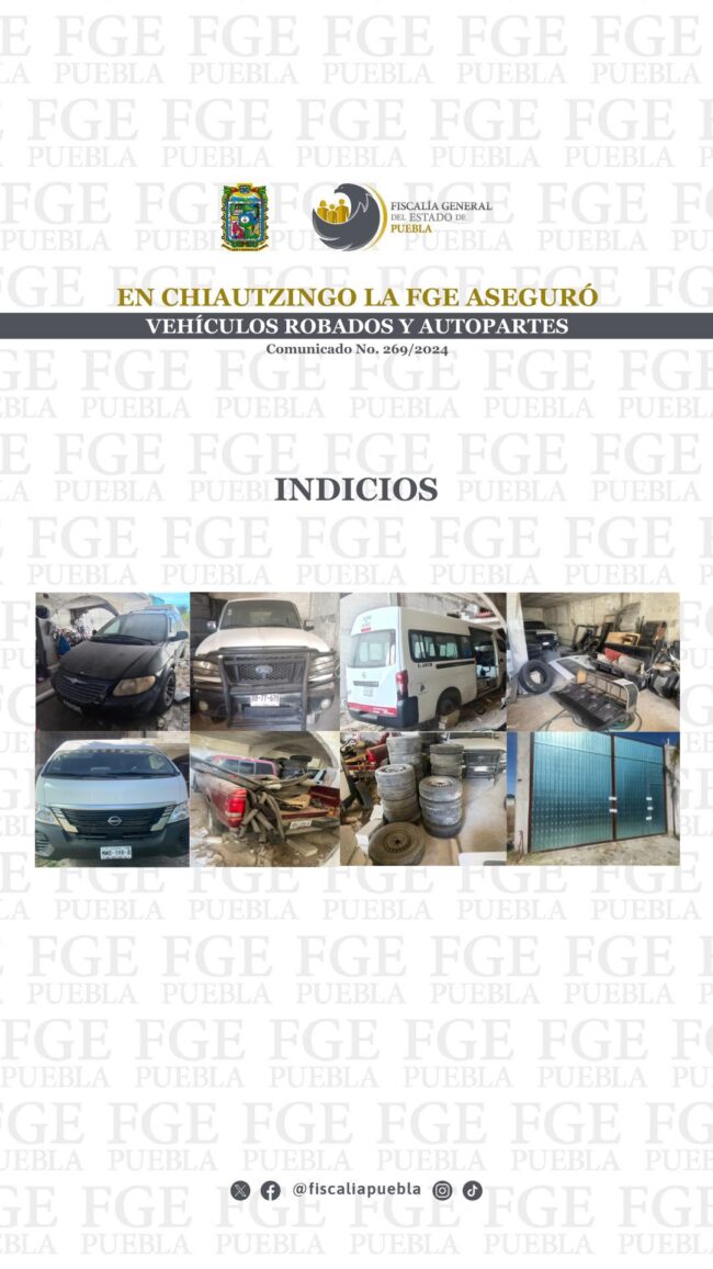 269_Cateo Chiautzingo_02