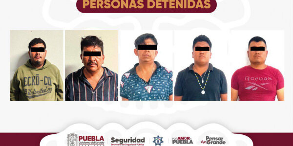 8131ed447305eec5f3adc7c0295bf553_L