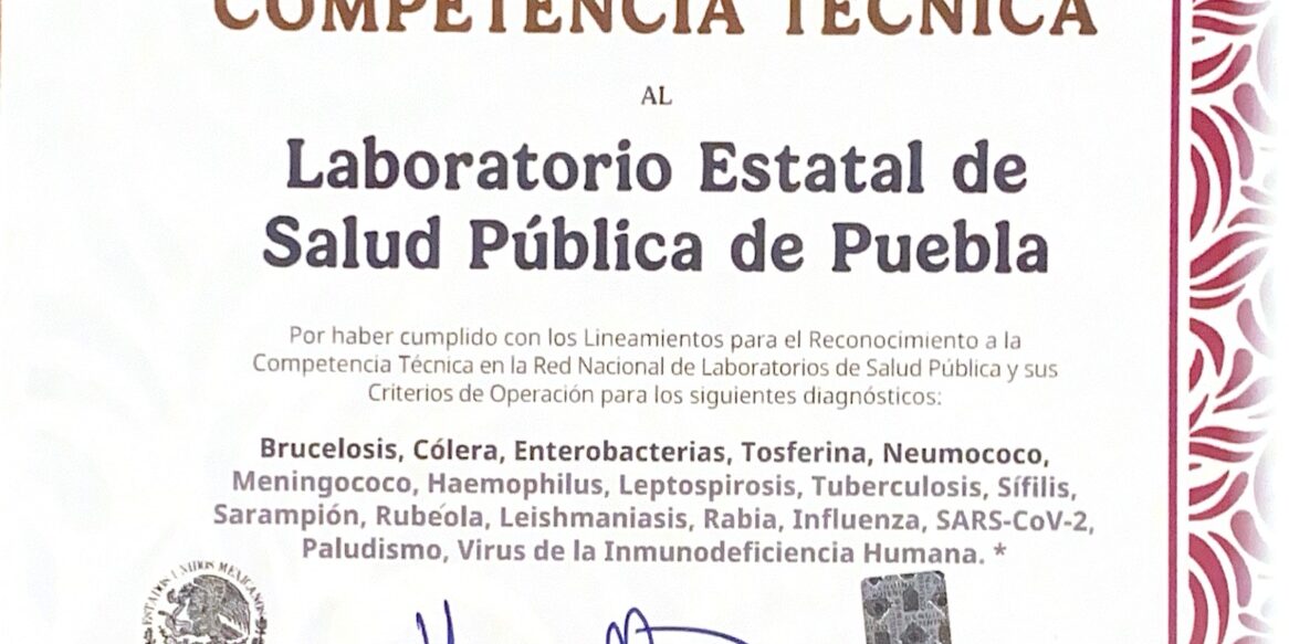 WhatsApp_Image_2025-11-26_at_1.08.54_PM